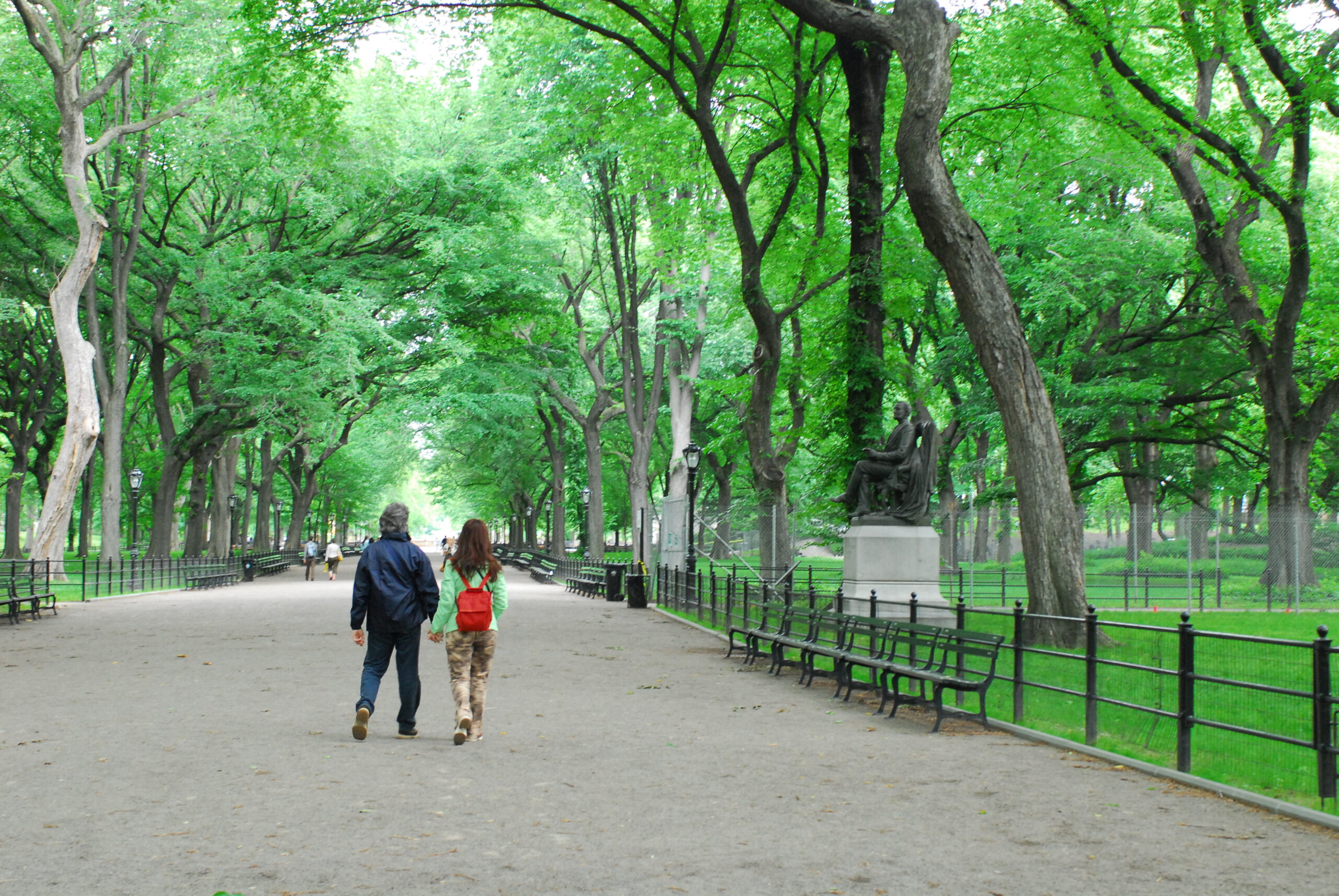 Take a stroll through Central Park