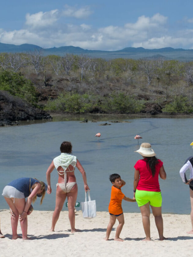 best 7 places that you should visit in Galapagos Islands