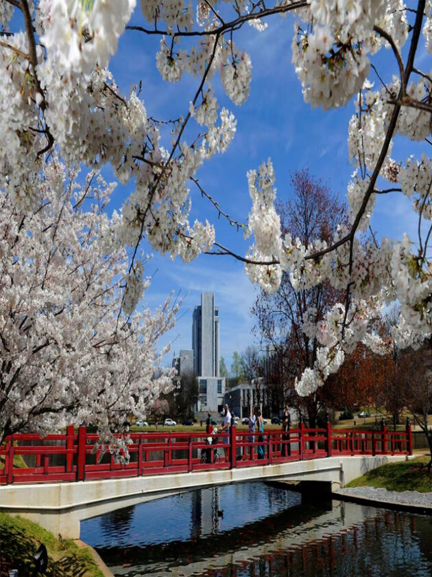 Big Spring International Park