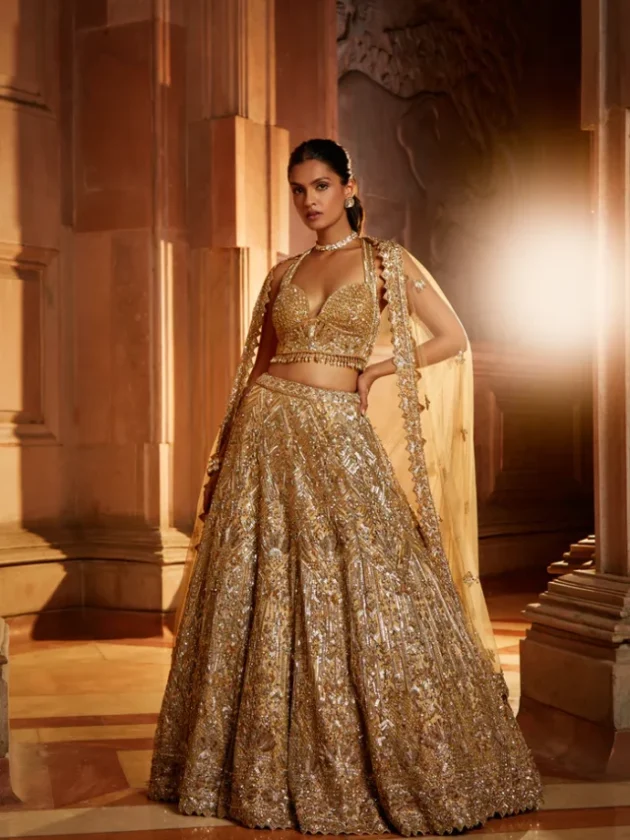 Gold Tulle Lehenga Choli Set