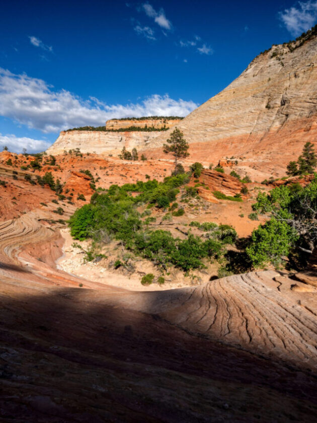 These Are 7 Hidden Gems In Zion You Need To Explore